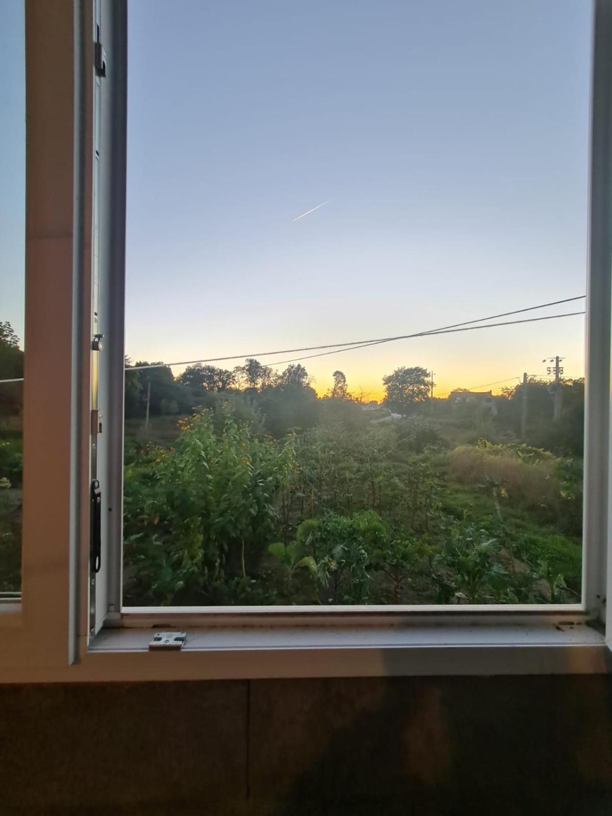 Apartamento T2 Zona Rural Vila Nova de Paiva Extérieur photo